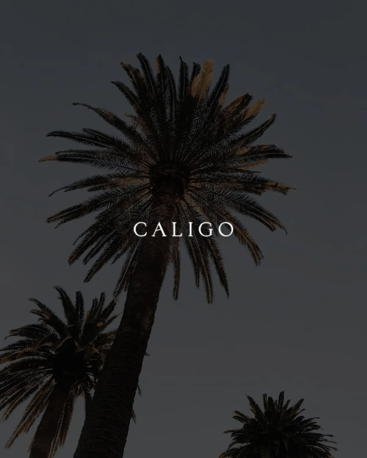 Caligo, case study cover