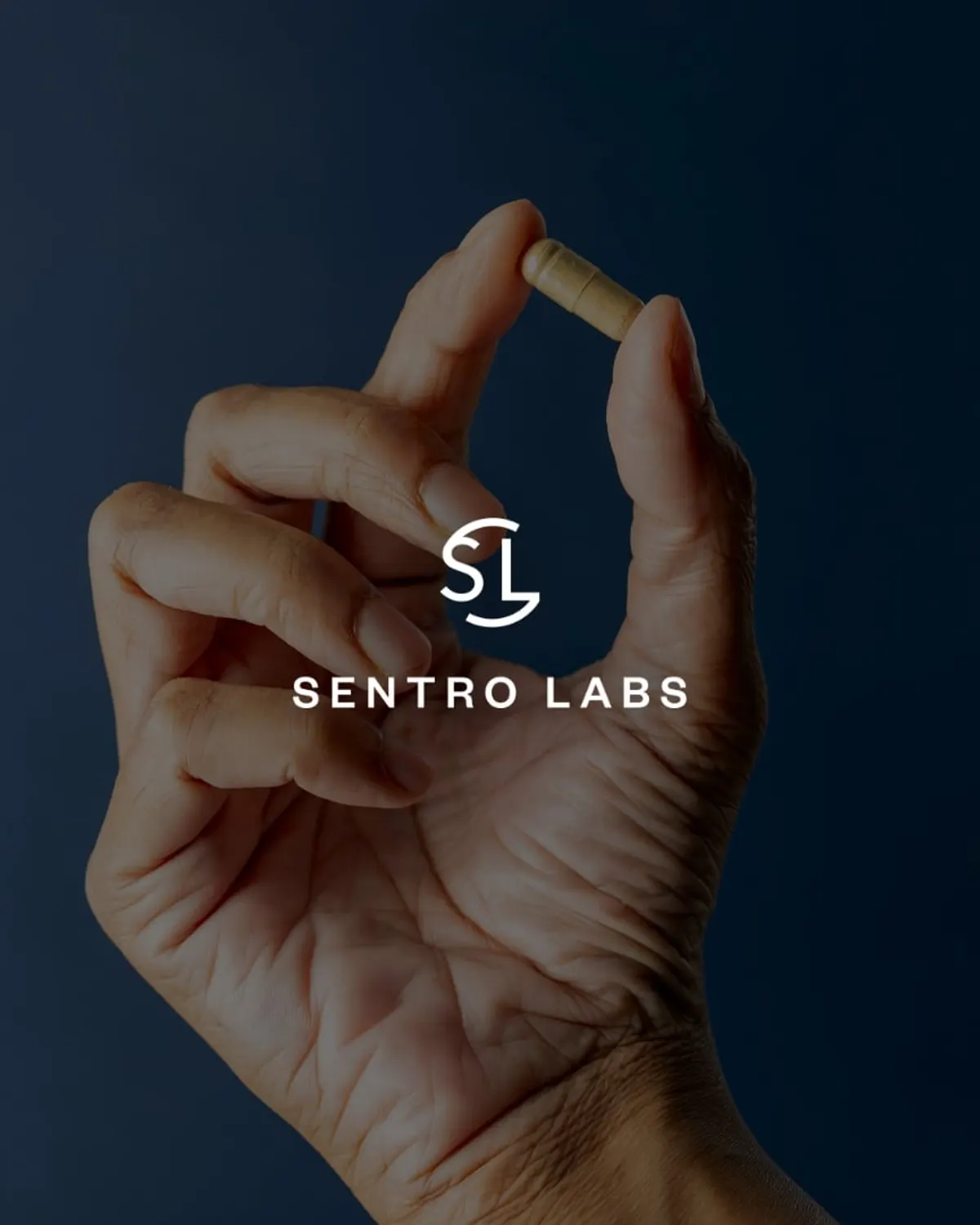 Sentro Labs, case study cover